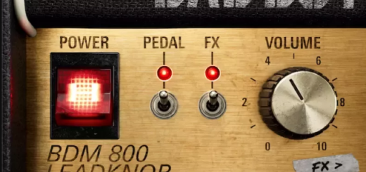 Bogren Digital Ampknob BDM 800 Badboy v1.0.204