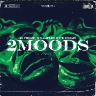 Flame Audio 2moods: Emotional Stems