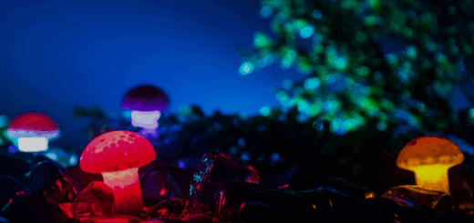 New Loops Phase Plant Synths Expansion KILOHEARTS PHASE PLANT