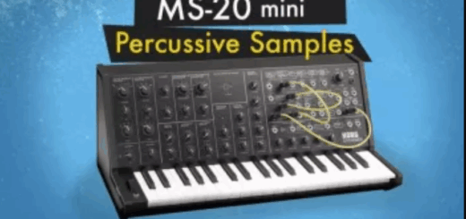 The Sound of Machines MS-20 Mini: Percussive Synth Samples AiFF