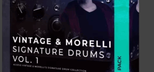 Basic Wavez Vintage and Morelli Signature Drums Vol.1