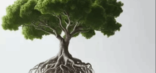 Soundsdivine Strong Foundations STUDIO ELECTRONICS SE-3X PRESETS