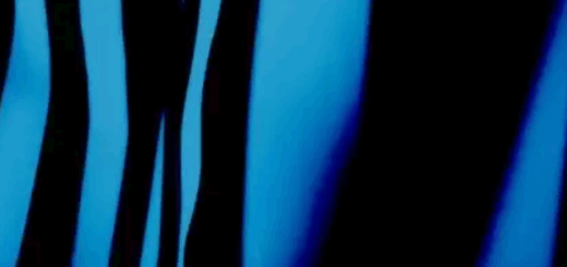 Native Instruments Leap House Grooves v1.0.0 KONTAKT