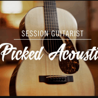 Native Instruments Session Guitarist Picked Acoustic v1.2.0