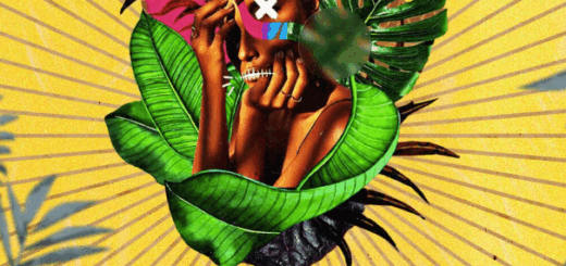 Vesh Beats Woza Vol 2 Amapiano And Afrobeats