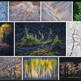 Alex Noriega Photography – Simplify Tutorial