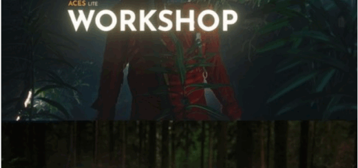 Joo Works – ACES Lite – Workshop