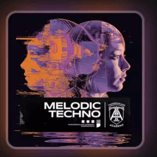 Tomorrowland Academy Melodic Techno